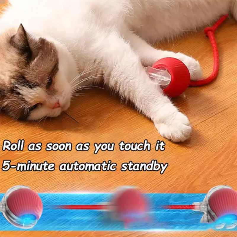 Automatic Pet Toy