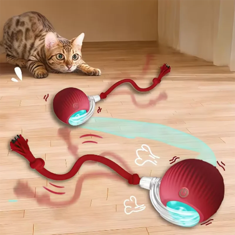 Automatic Pet Toy