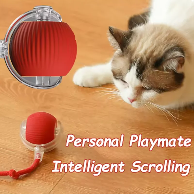 Automatic Pet Toy
