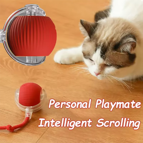 Automatic Pet Toy