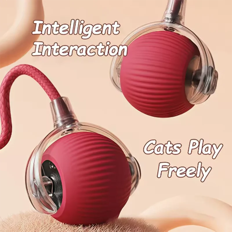 Automatic Pet Toy